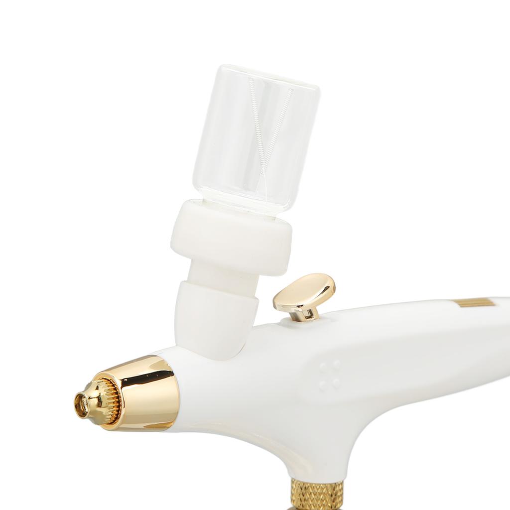 Oxygen Facial brush Portable Makeup Skin Care Toner Mist Sprayer Device Lady's Gifts