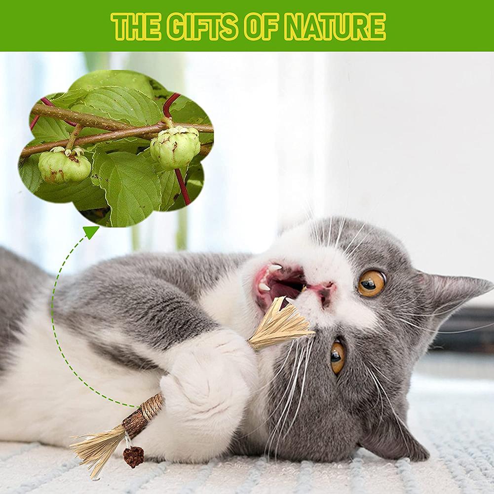 Wooden Teaser Stick Teething Chew Toys Cat Toy To Relieve Boredom Cats Supplies