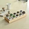 Multifunctional Succulent Flowerpot Tray Multi-grids Desktop Sundries Organizer Storage Box