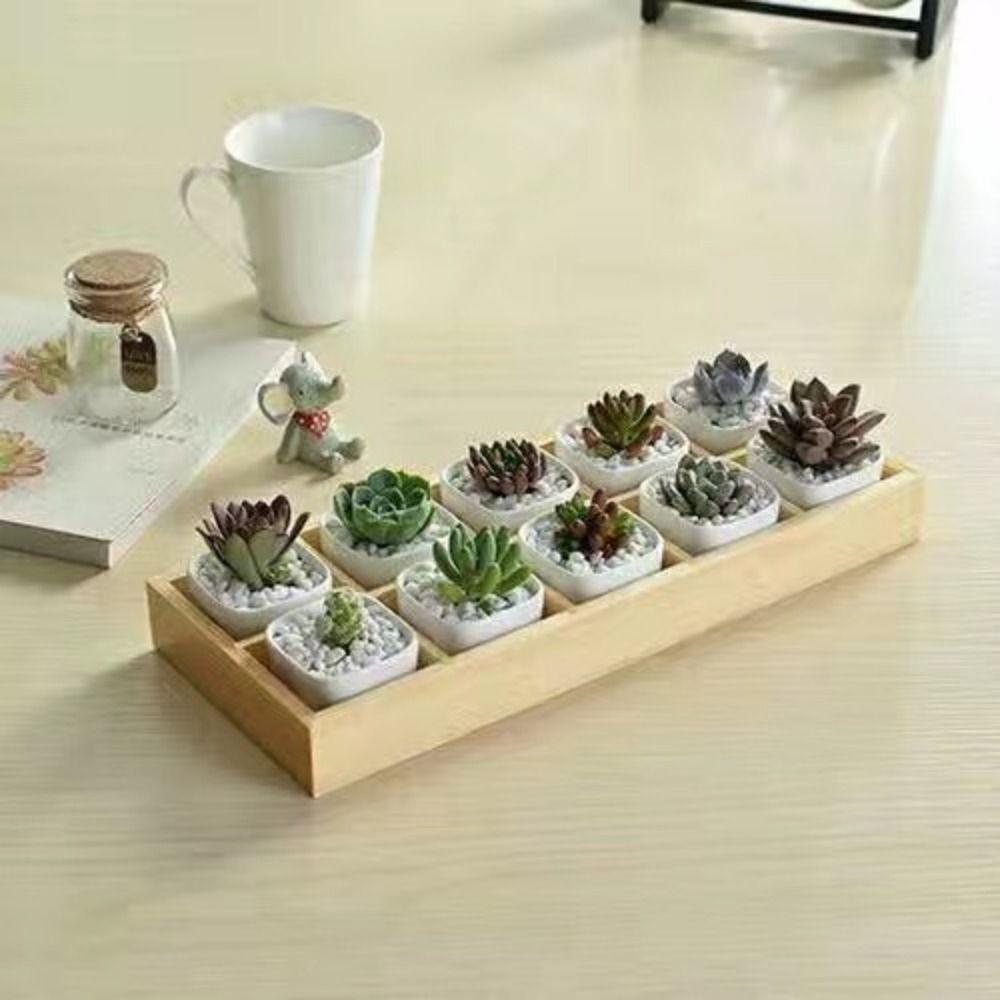 Multifunctional Succulent Flowerpot Tray Multi-grids Desktop Sundries Organizer Storage Box