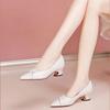 Women Fashion Sweet Pointed Toe Beige Spring Slip On Square Heel Shoes Lady Classic Office Career Work Pumps Ab509