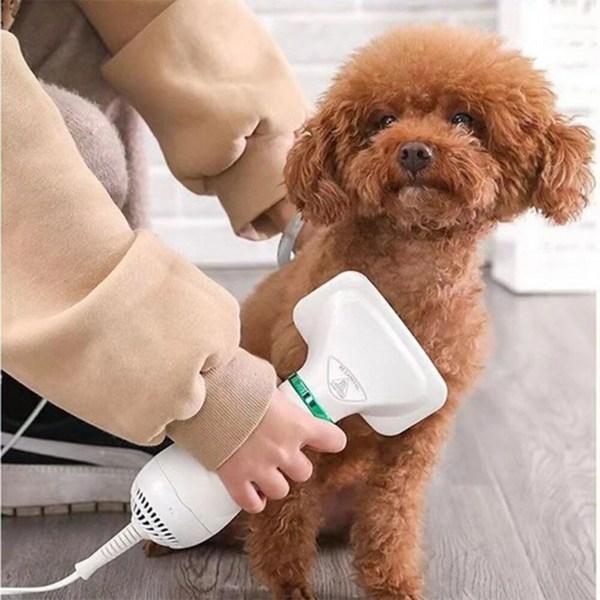 Аэрограф Garrl Pet, расческа-сушилка для волос, низкая интенсивность шума, регулируемая постоянная температура, быстросохнущий ручной, корейский шампунь для домашних животных