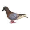 Foam Pigeon Model for Display, Dove Replica for Educational Use