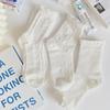 JK Spring/Summer Curled Women's Mid-Tube Cotton Socks – Trendy, Thin, Soft, Cute Japanese Style, Pure White