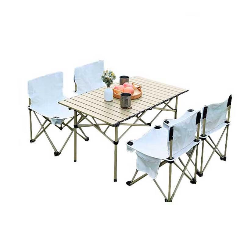 Portable Folding Outdoor Picnic Table and Chairs Set