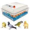 20 Eggs Incubator Set Fully Household Brooder Farm Chicken Goose Duck Bird Egg Incubator