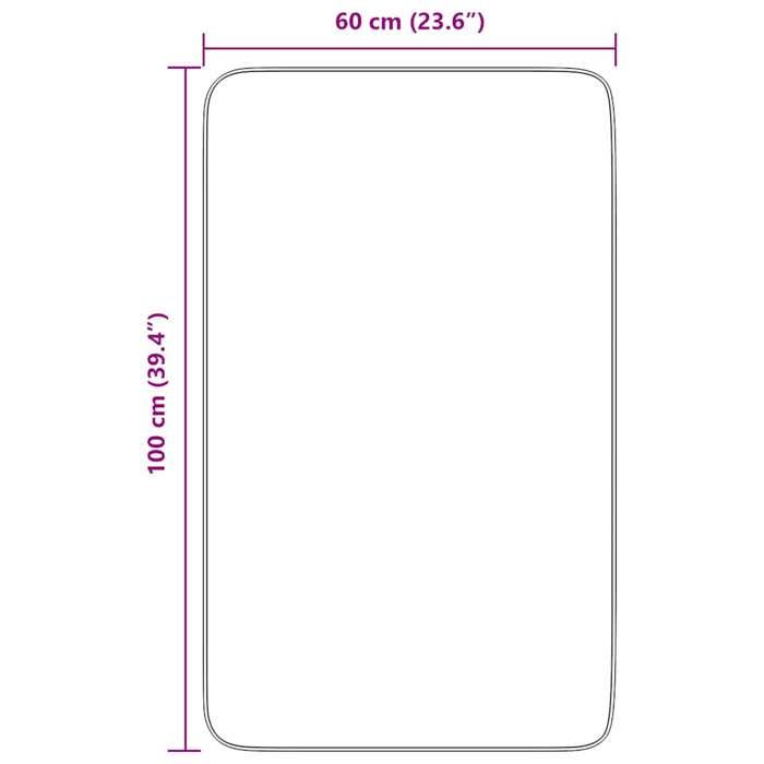 VidaXL Shaggy Rug with Long Pile Silver Grey 60x100 Cm Polyester, Rug, Bedroom Rug, Modern Rug, Living Room Rug, 4102812