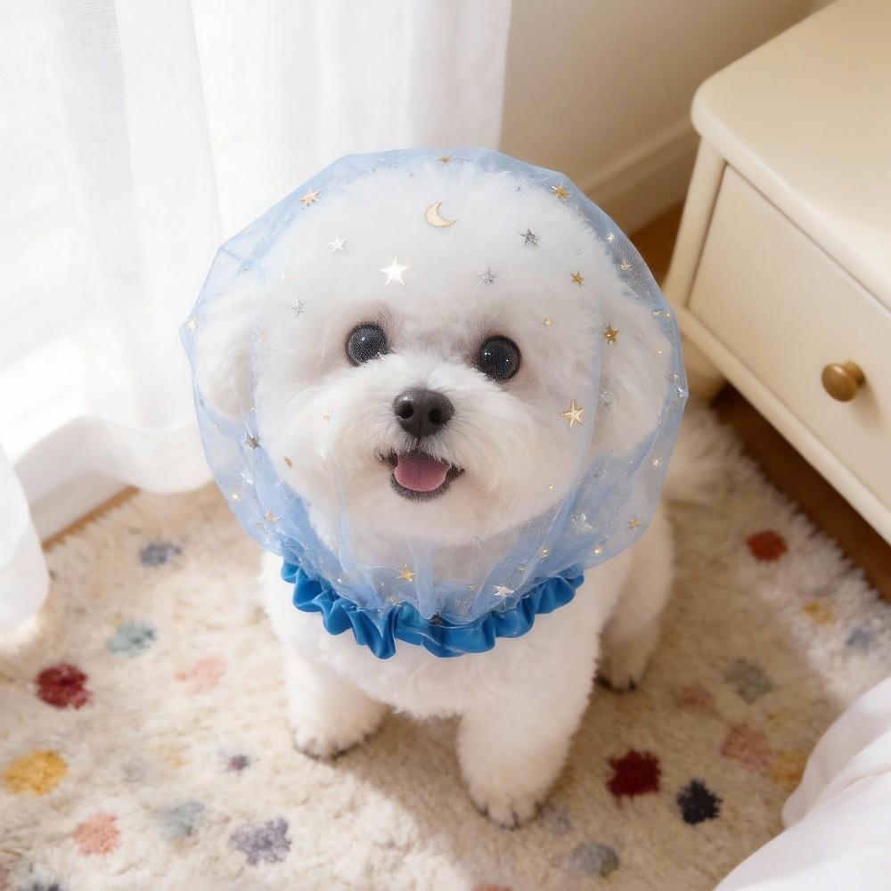 Face Cover Pet Protective Mask Anti-Mosquito Eating Dog Protective Veil  for Outdoor Use