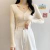 Kuz Qish V-boʻyinli Top Slim Fit Qisqa Bir xil rang Ichki Uzun qisma Asos Trikotaj Sviter Ayollar uchun