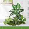 Bionic Fake Plants for Indoor Decoration: Living Room, Window Display, Under Stairs, Corner Arrangement.