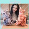 Имитация Кошка 3d Плюшевая Мягкая Игрушка Животное Кукла Украшение Комнаты Подарок День Рождения