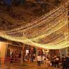 Starry Plug-in LED String Lights