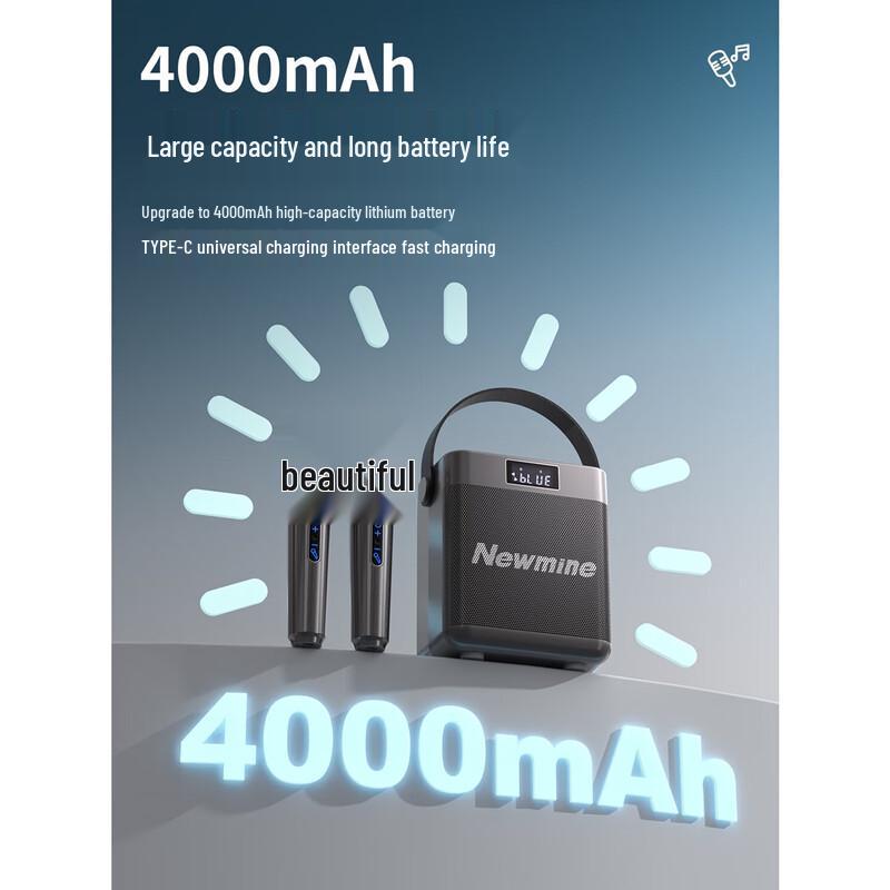 Newmine K519 Portable Bluetooth Karaoke Speaker