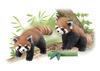 TAKARA TOMY Игрушка динозавр Ania Red Panda Возраст AS-35 3+