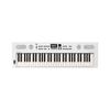 Roland GOKEYS5-WH 61-Key Electronic Keyboard with Bluetooth, Built-in Speaker, Microphone Input, and Auto-Accompaniment, White