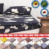 2023 Cotton Fitted Sheet Bedcover Printing Bed Linens Bed Mattress Cover with Elastic Bedspread No Pillowcases