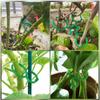 Garten Rebe Umreifung Clips Pflanze Gebündelt Schnalle Ring Halter Tomaten Garten Pflanze Stehen Werkzeug Garten Dekor Gem