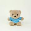 Teddy Bear Plush Toy Keychain With Printing For Gift And Decoration