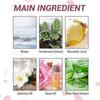 Whole Body Deodorant Lotion, Underarm Odor Clean Whitening Refreshing Deodorant Cream
