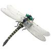 Jokes PVC 12cm Animal Model Dragonfly Action Figures Insects Model Dragonfly Model Animal Figures