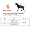 Bowknot Cat Harness And Leash Set Adjustable Puppy Harness Cat Lead Leash Clothes Vest Nylon Mesh Kitten Collar Cat Accessories