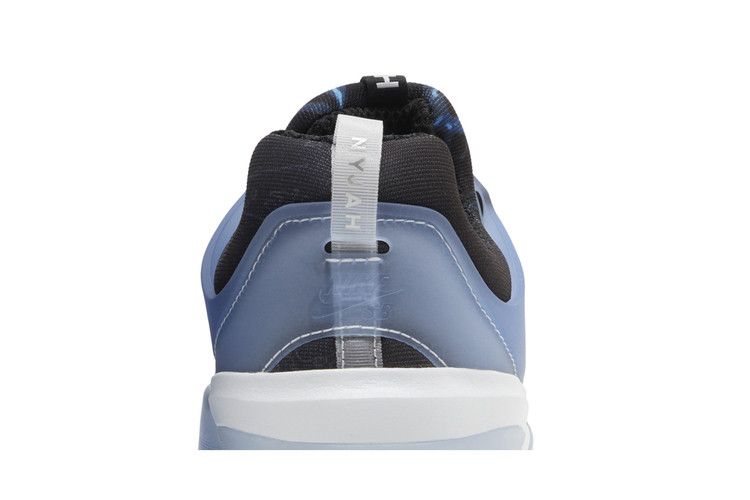 Nike Zoom Nyjah 3 SB 'Trouble at Home'
