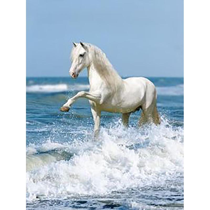 5D DIY Diamond Painting Animals Horse Cross Stitch Kit Full Round Drill Embroidery Mosaic Art Picture of Rhinestones Decor Gift