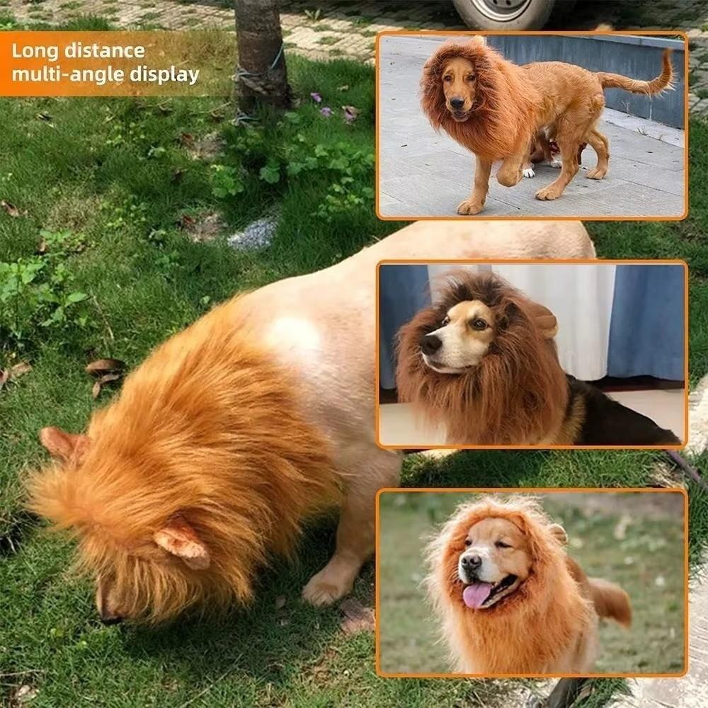 Funny Design Lion Mane Wig Hat With Ears Dog Costume Hat Cute Pet Photo Prop Hat For Pets