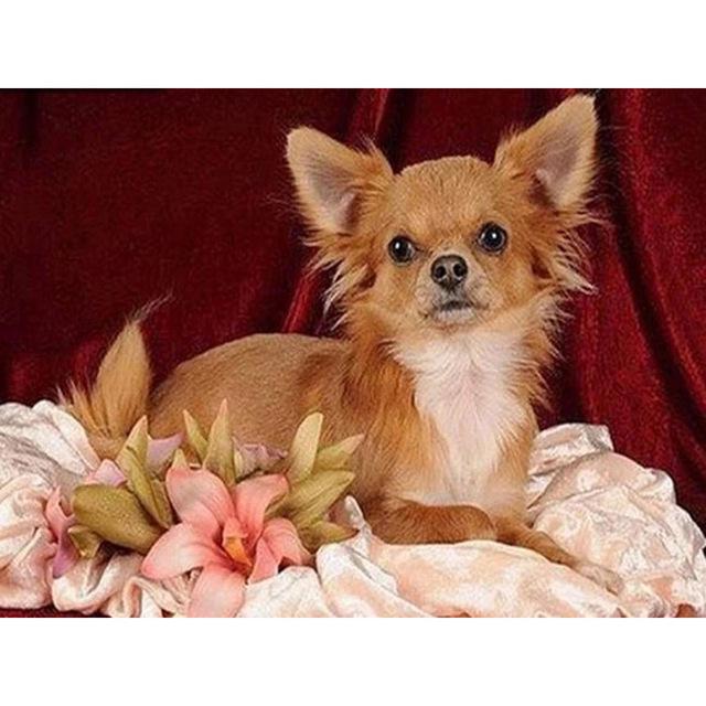 DIY 5D Алмазная картина Собака Милый питомец Вышивка крестом Алмазная вышивка Животное Мозаика Полный дрель Круглый