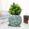 Funny Frog Planter Resin Cartoon Frog Flower Container Cute Frog Succulent Pot Small Frog Planter Ornament for Home Courtyard