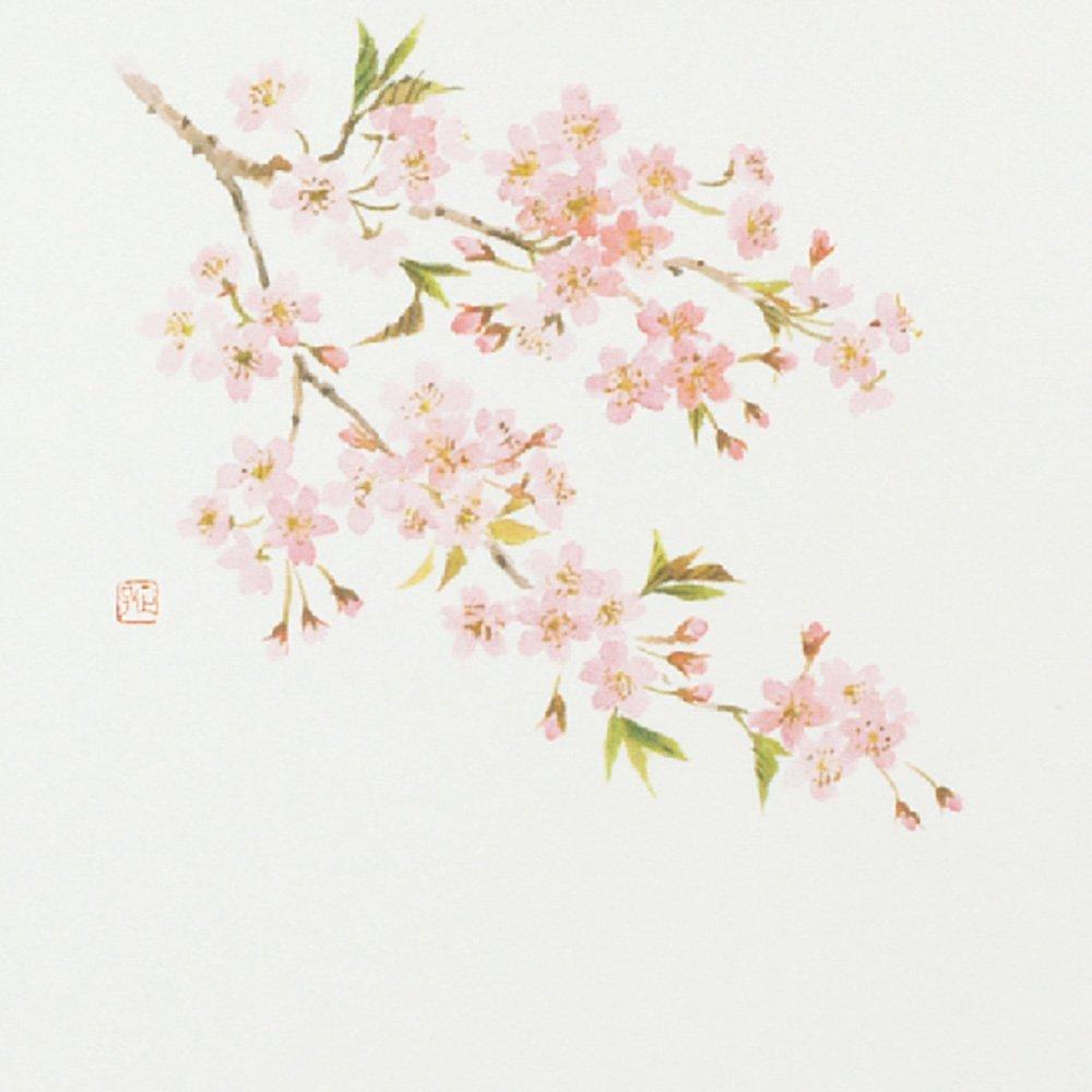 Daikoku Kogyo Table Cherry Blossom 26 x 38 100 Paper "Commercial Use" Mats, Design, cm, Sheets, High-Quality