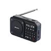 Портативное FM-радио и Bluetooth-колонка Newmine N123 (Китайская версия)