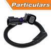LS Engine Adapter Module Wiring Harness (Models: 25383922, 25379713, 12580420)