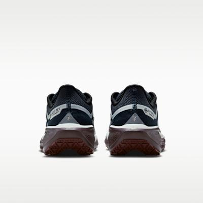 Nike Air Zoom Pegasus 41 Gore-Tex Dark Obsidian Anthracite Pure Platin