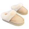 Plush Cotton Slippers Women's New Autumn and Winter Home Indoor Thick-soled Non-slip Velvet Warm Cotton Shoes