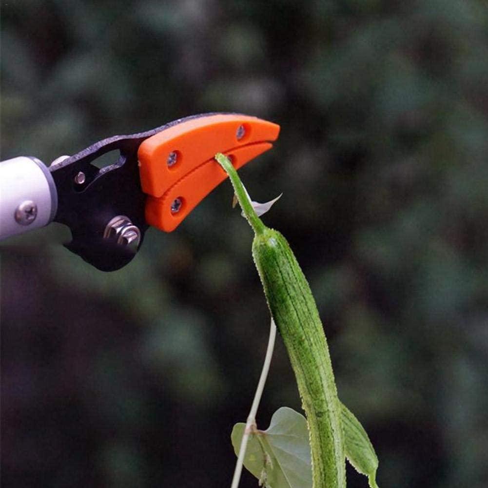 Ножницы для сбора фруктов, садовые ножницы для обрезки деревьев, захват для обрезки деревьев, резак с длинным шестом Catcher, Великобритания