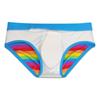 Pride Stripe Bikini Rainbow Мужской короткий сексуальный купальник для мужчин Купальники для серфинга с низкой посадкой