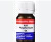 Dr. Reckeweg Kali Phosphoricum Biochemic Free Shipping Worldwide