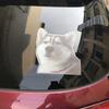 Автонаклейка, Наклейки Водонепроницаемые Хаски Собака для Лодки Наклейка от Царапин