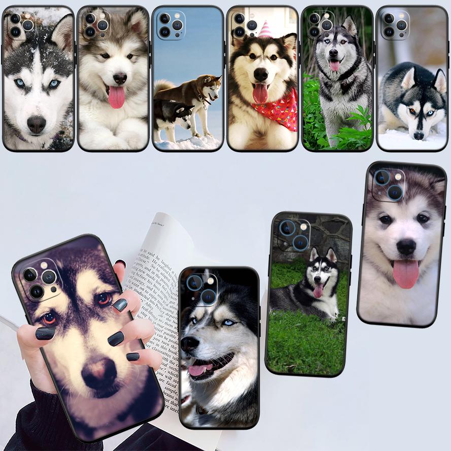 NH32 husky dog New High-End Shell Phone Case for Xiaomi Poco F8 M4 M5 M6 M7 X3 X6 X7 Pro GT NFC Ultra