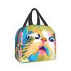 Funny Cat Lunch Bags Coloful Cat Lunch Tote Reusable Insulated Cooler Lunch Bag for Women Men Kids and Adults Work School Picnic