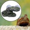 Aquarium Float Decoration Rock Tortoise Dock Resting Basking Terrace Turtle Platform with
