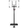 Support de basket ball Transparent 256 361 cm Polycarbonate