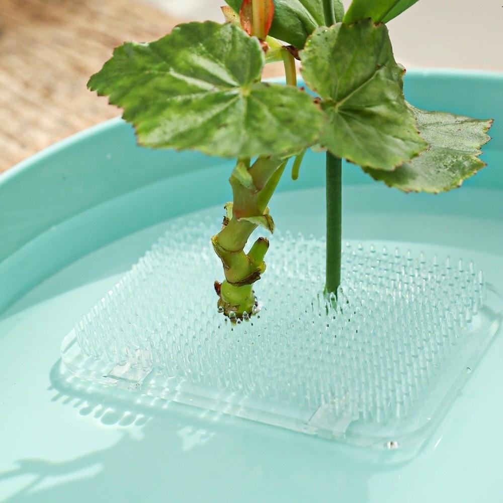 Round Flower Arranger Rectangle Pin Frog Holder Creative Fixed Arranging Tool  Flower Arranging