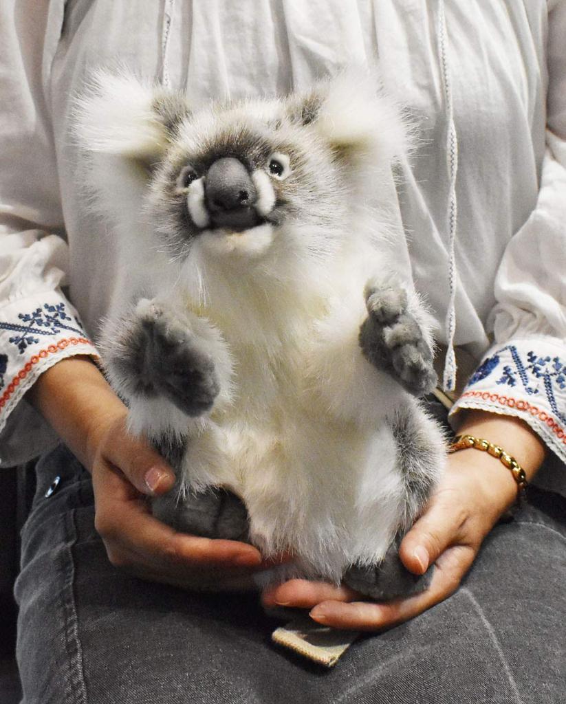 BH3525 HANSA Koala Pup 24