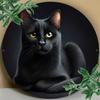 Черный кот с желтыми глазами Реалистичный Круглый Металлический Знак D Плоская Печать Кошачий Портрет Искусство Жестяная Табличка Любитель кошек Дом питомца Ливи