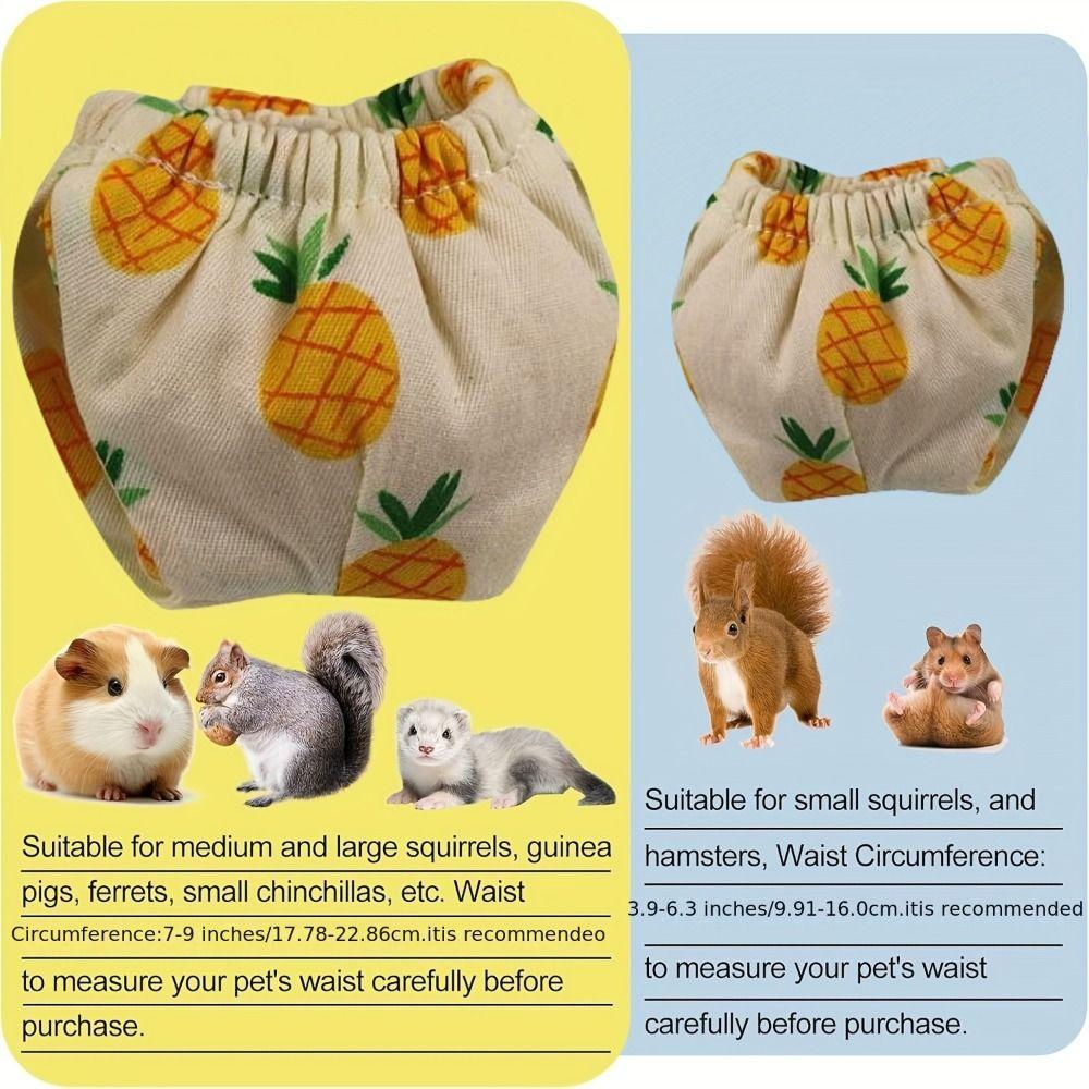 Absorbent Pet Training Pants Flexible Closure Squirrel Underwear Squirrel Diapers Groundhogs