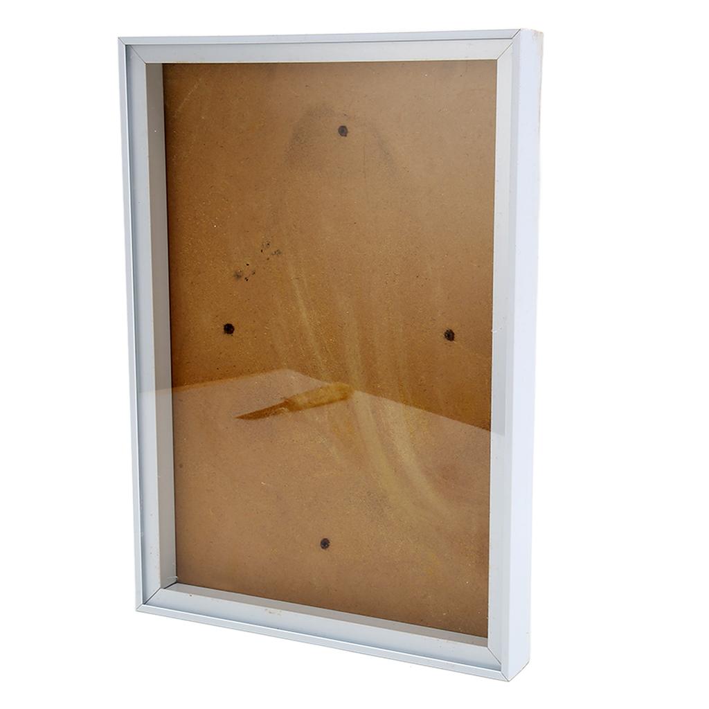 Picture Frame with Bracket sy to Disassemble Plastic Decorative Photo Frame for Dried Flowers Shells