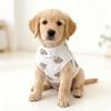 Bear Pet Vest Dog Clothes Cat Solid T-shirt Clothing Dogs Thin Small Fashion Chihuahua Summer Cats Vests Breathable Thin Section