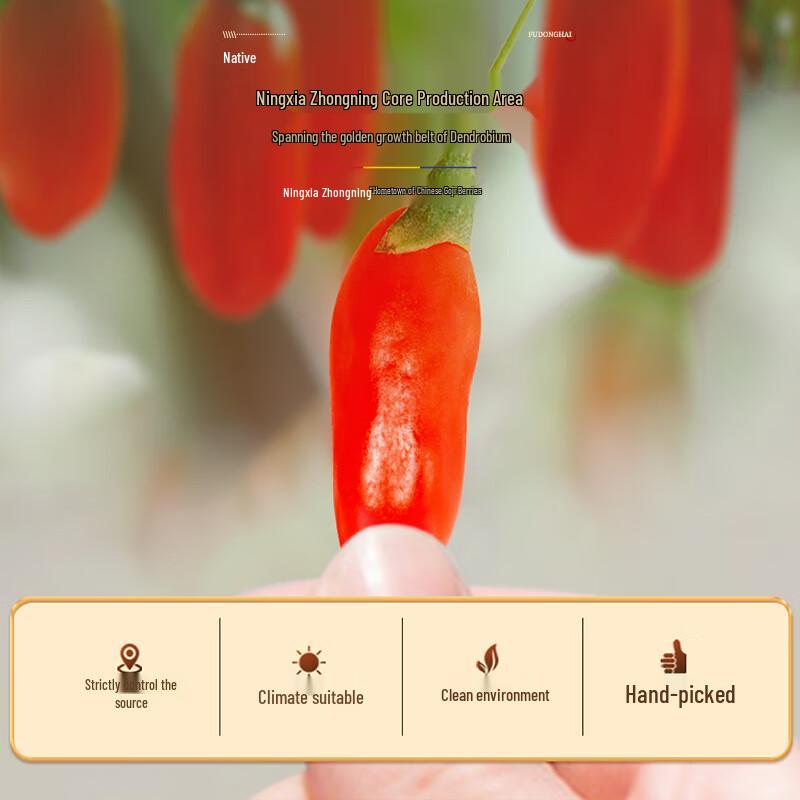 Fudonghai 100% Чистое Пюре из Красной Ягоды Годжи Нинся